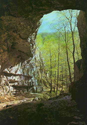 Niflheim-tunnel.jpg (38775 bytes)