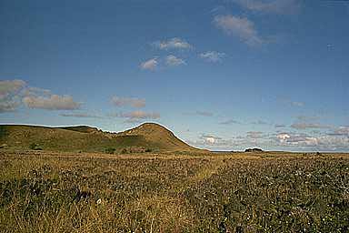 SouthernPrincipality-Plains.jpg (14778 bytes)