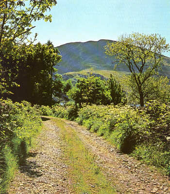 Tainrearg-countrylane.jpg (40481 bytes)
