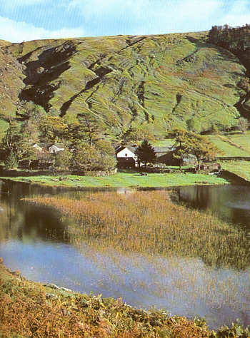 Tainrearg-farmhouse.jpg (39534 bytes)